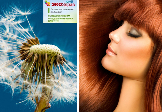 Курс «STOP выпадение!» - Плетнева (2014)_0.jpg